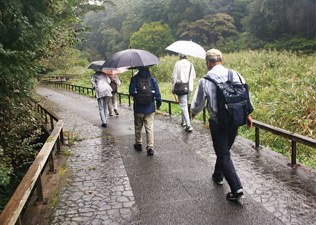 雨にも負けず、自然観察
