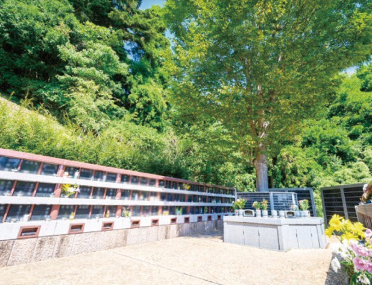 いま注目の樹木葬について