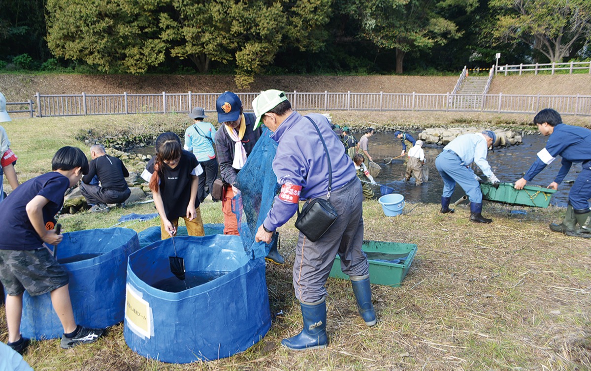 梅田川遊水地で生物観察