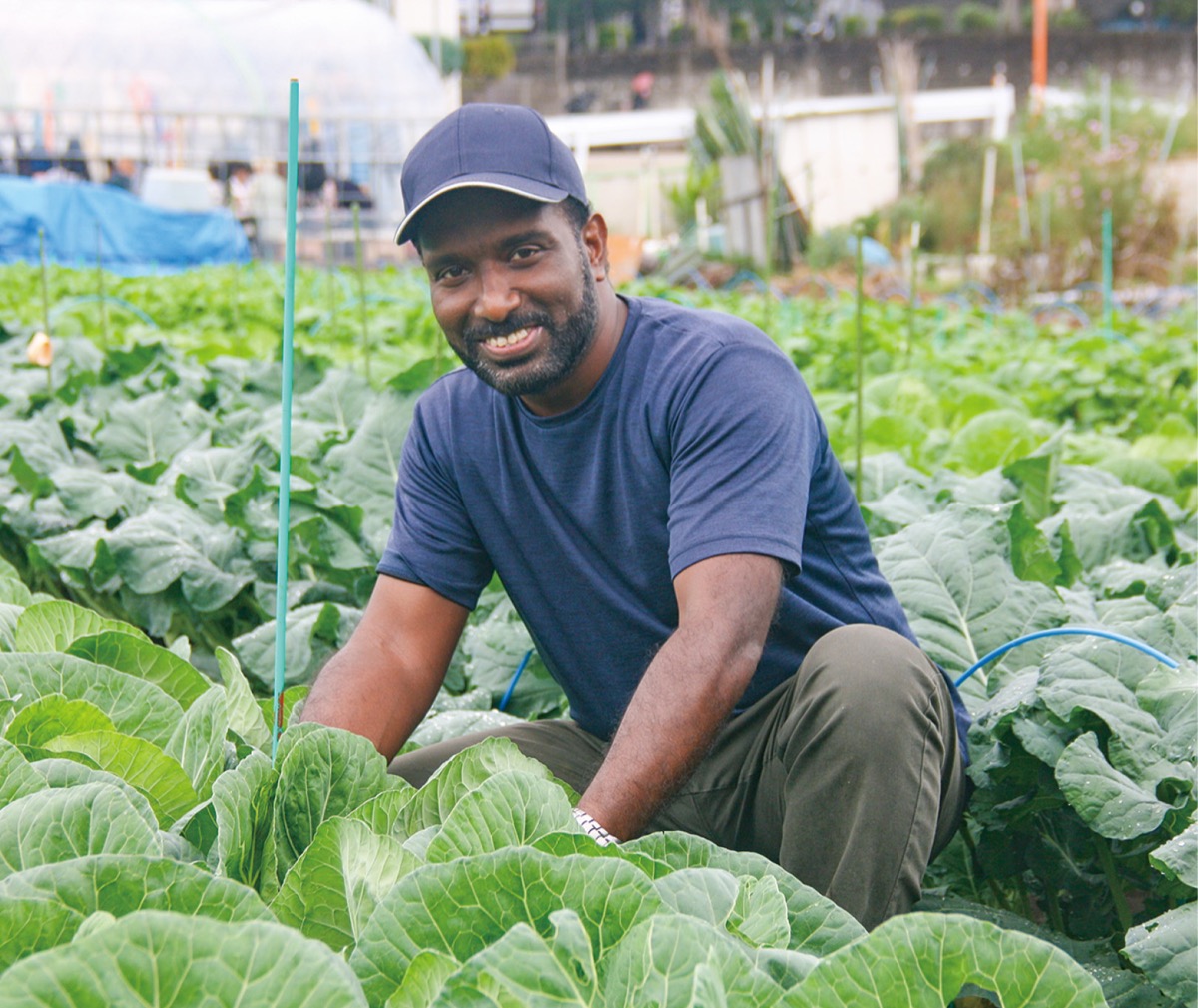 山下農園で収穫感謝祭