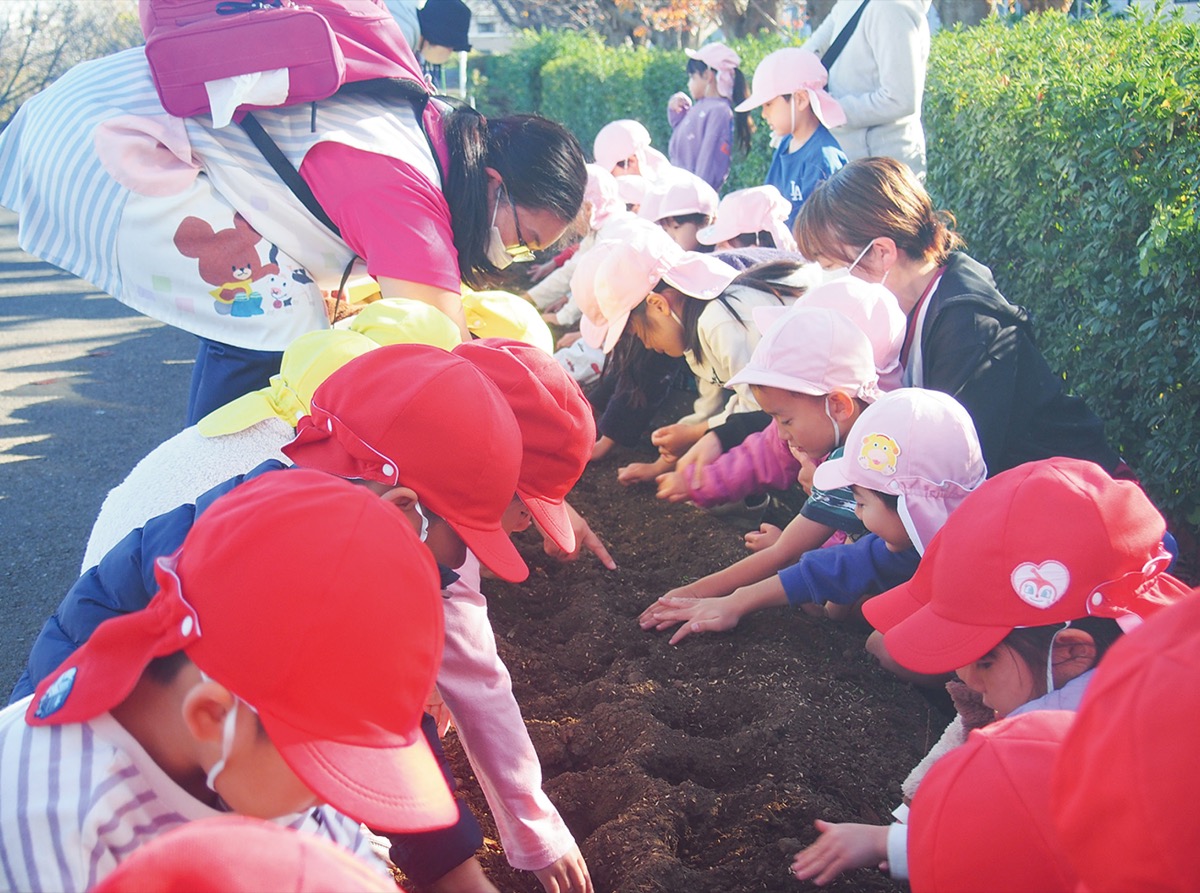園児がチューリップ植栽
