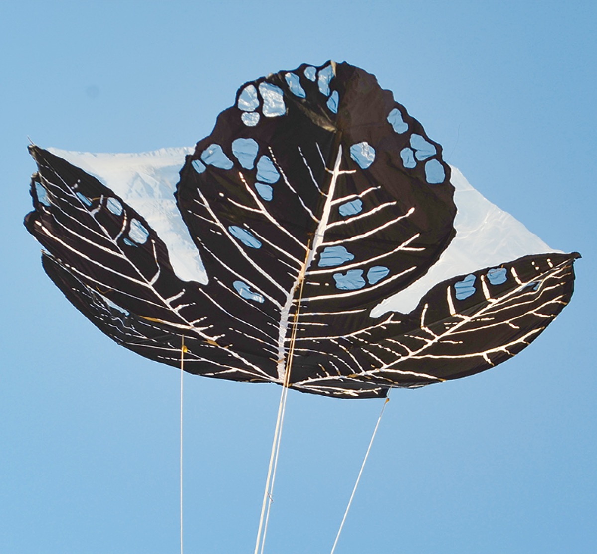 人の背丈サイズの植物の葉を模した凧
