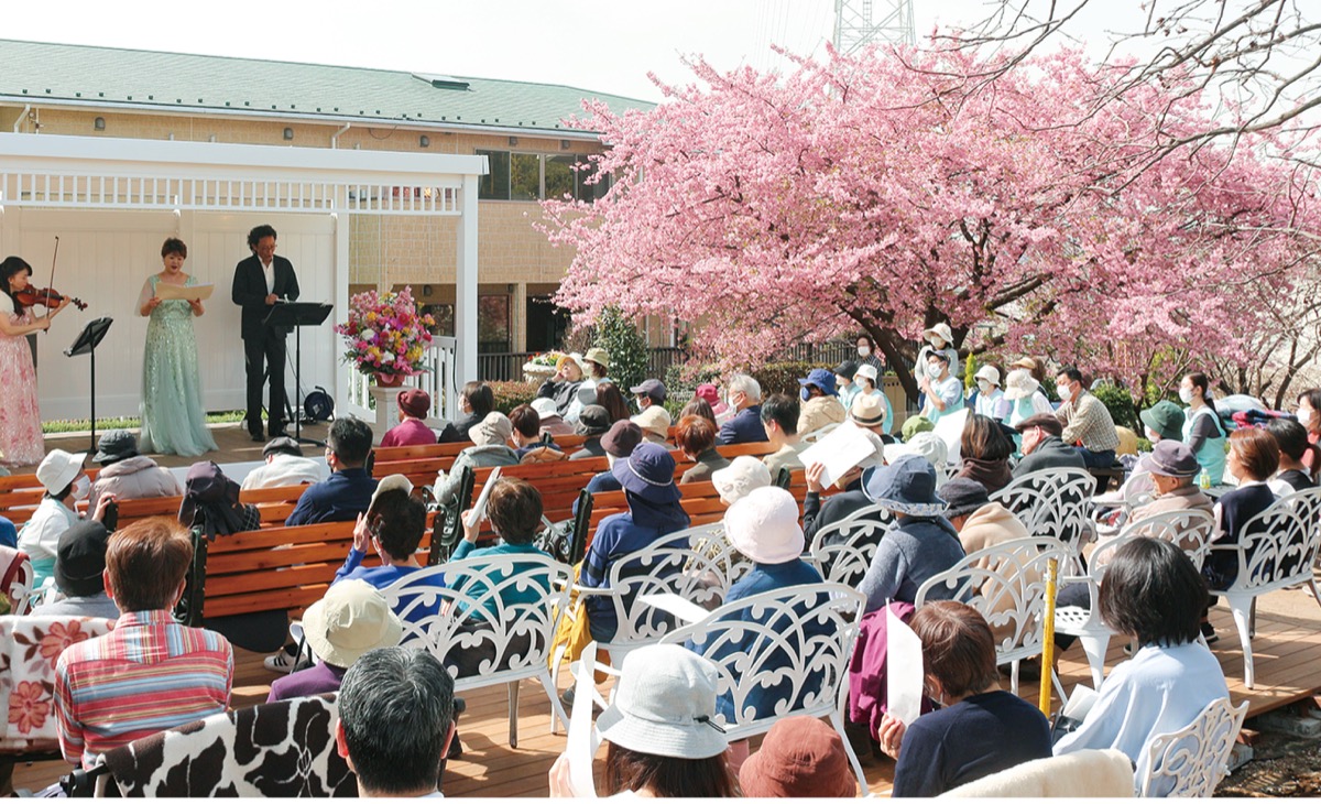 都筑区川和町のグループホーム「都筑の丘」の敷地内に咲く河津桜。村田さんが2008年に同窓会で訪れた伊豆稲取で購入した苗木を寄贈したもの(写真は今年2月28日に開催された音楽堂完成記念コンサートの様子)