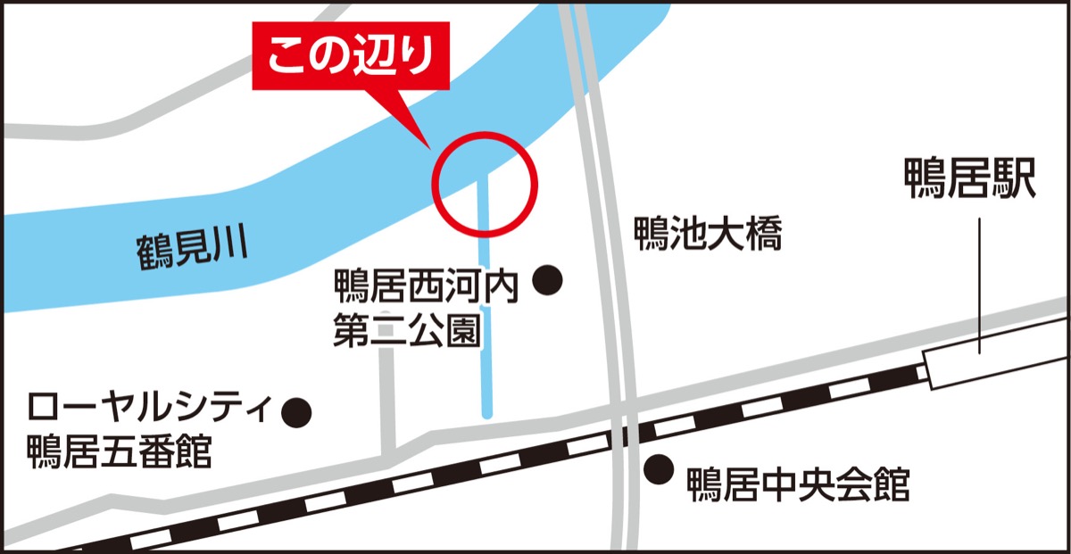 モグラが撮影された場所