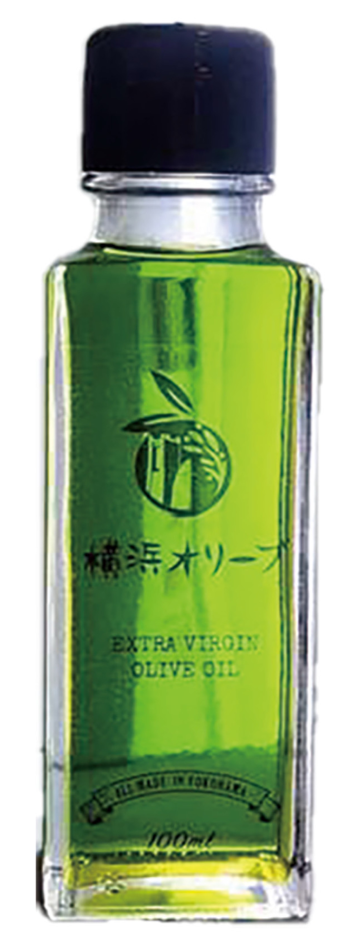 この時期のオリーブは澄んだ緑色が特徴