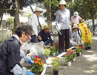 プランターに花を植える会員たち