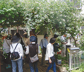 下田町の加藤邸を見学する参加者