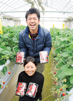 新羽町のハウスで、直売のイチゴを手にする長澤夫妻