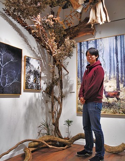 作品と共に本物の木が飾られるギャラリー