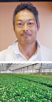 小山農園の小山代表（写真上）。新羽の農園では小松菜を中心に育てている（写真下）