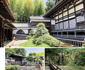 庭園や本堂横の滝など、妙蓮寺には見どころがたくさん