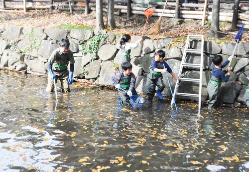 池の中の清掃を行う地域の児童ら