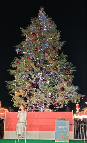 高さ10ｍのツリーの前で横浜の思い出を語る神田愛花さん