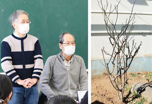 山本さん(左)と中村さん／植替え前のはまみらい