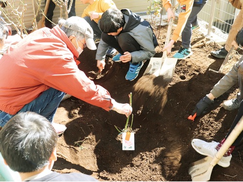 山本さん（左）と一緒にはまみらいの植替えを行う児童ら
