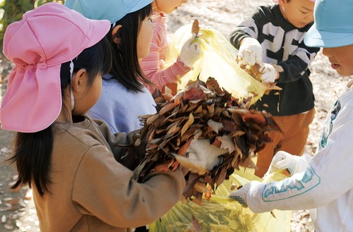 両手いっぱいの落ち葉を持つ園児