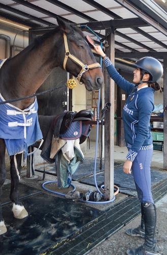 前髪を整えられ気持ちよさそうな表情のカタール号（17歳）