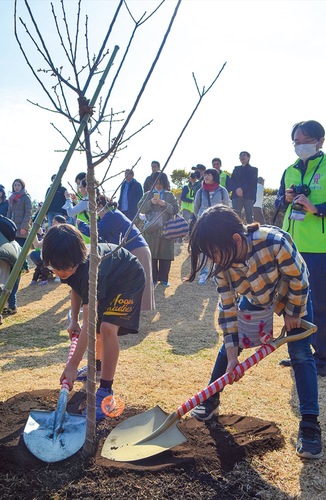 梅を植樹する子どもたち