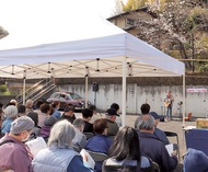 桜の木の下で歌唱