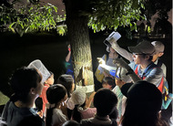 新横浜公園でナイトツアー