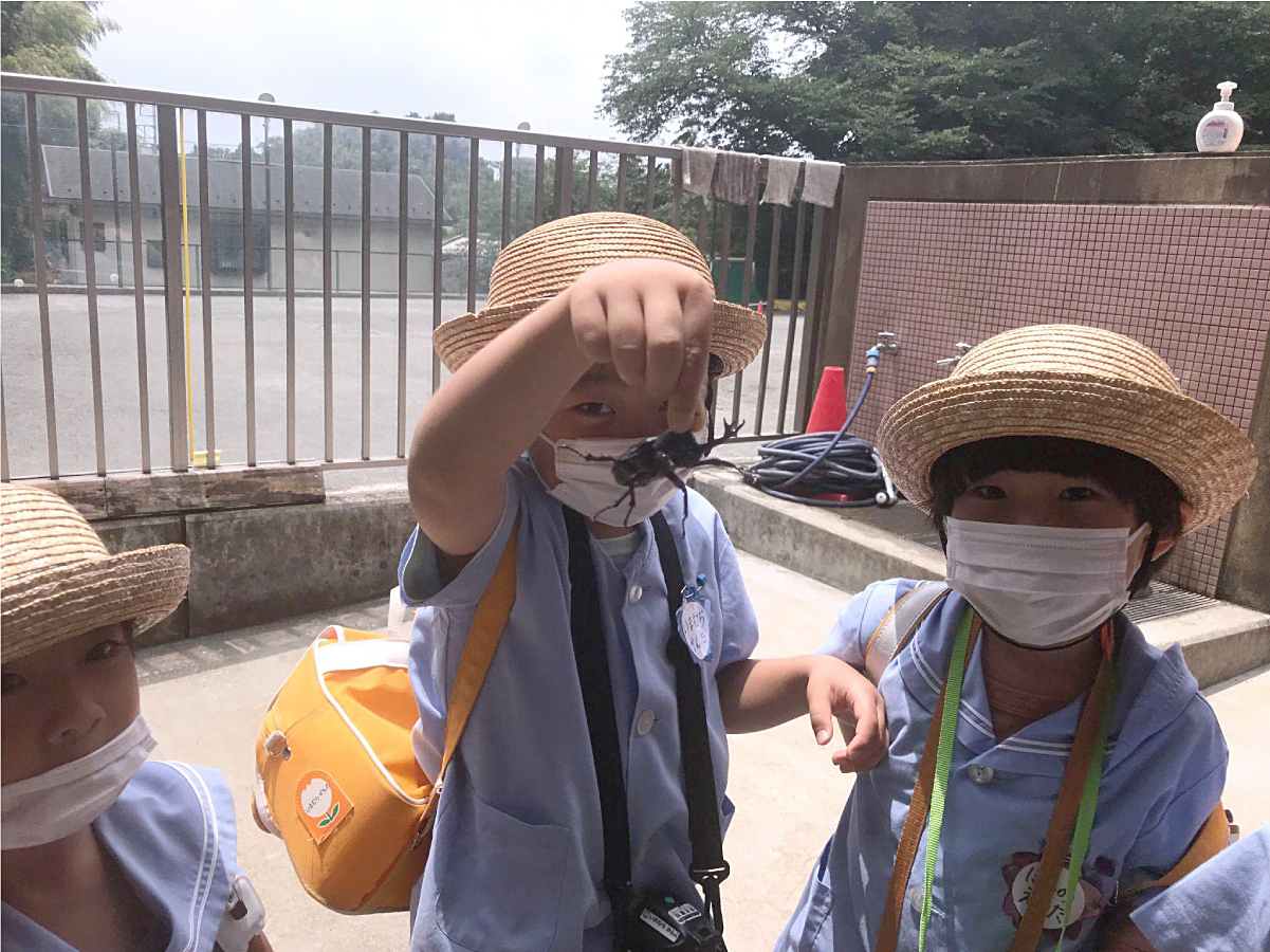 【横浜の幼稚園紹介】「森の中の、木の幼稚園」でのびのびと。自然や音で遊びながら育てる光明幼稚園