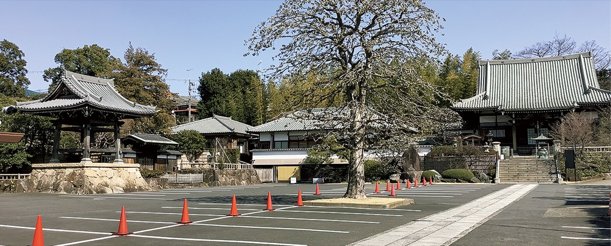 広く開放的、深呼吸したくなる境内