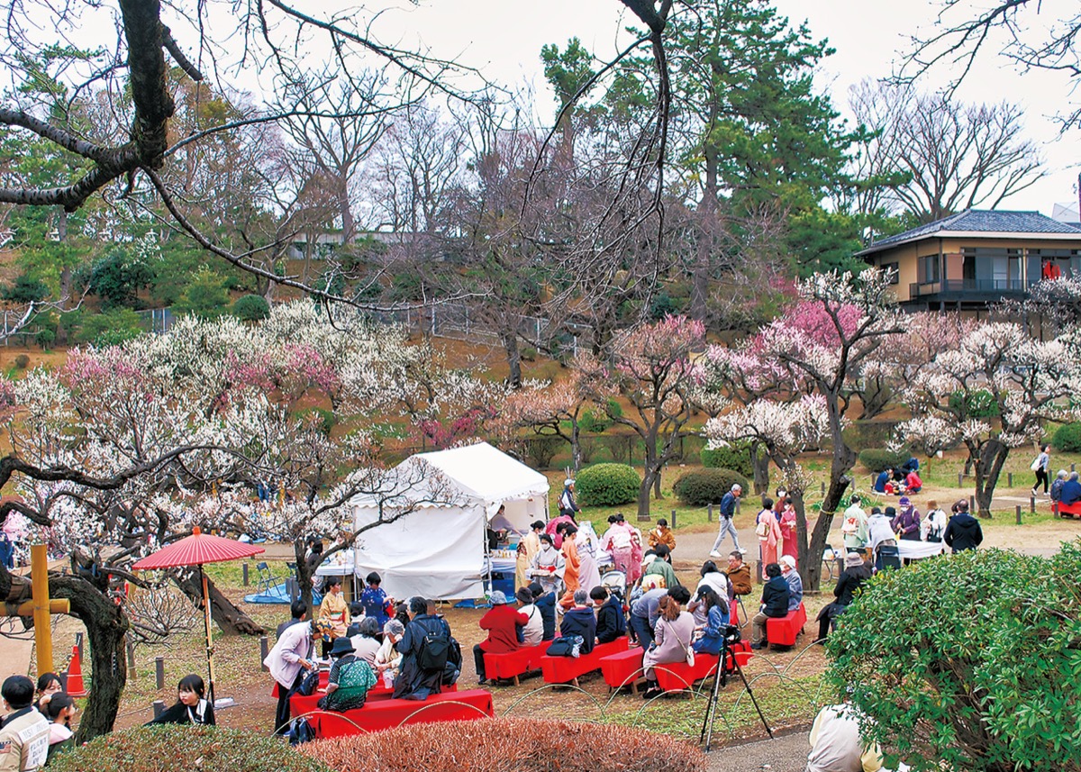 ２０２０年の観梅会の様子