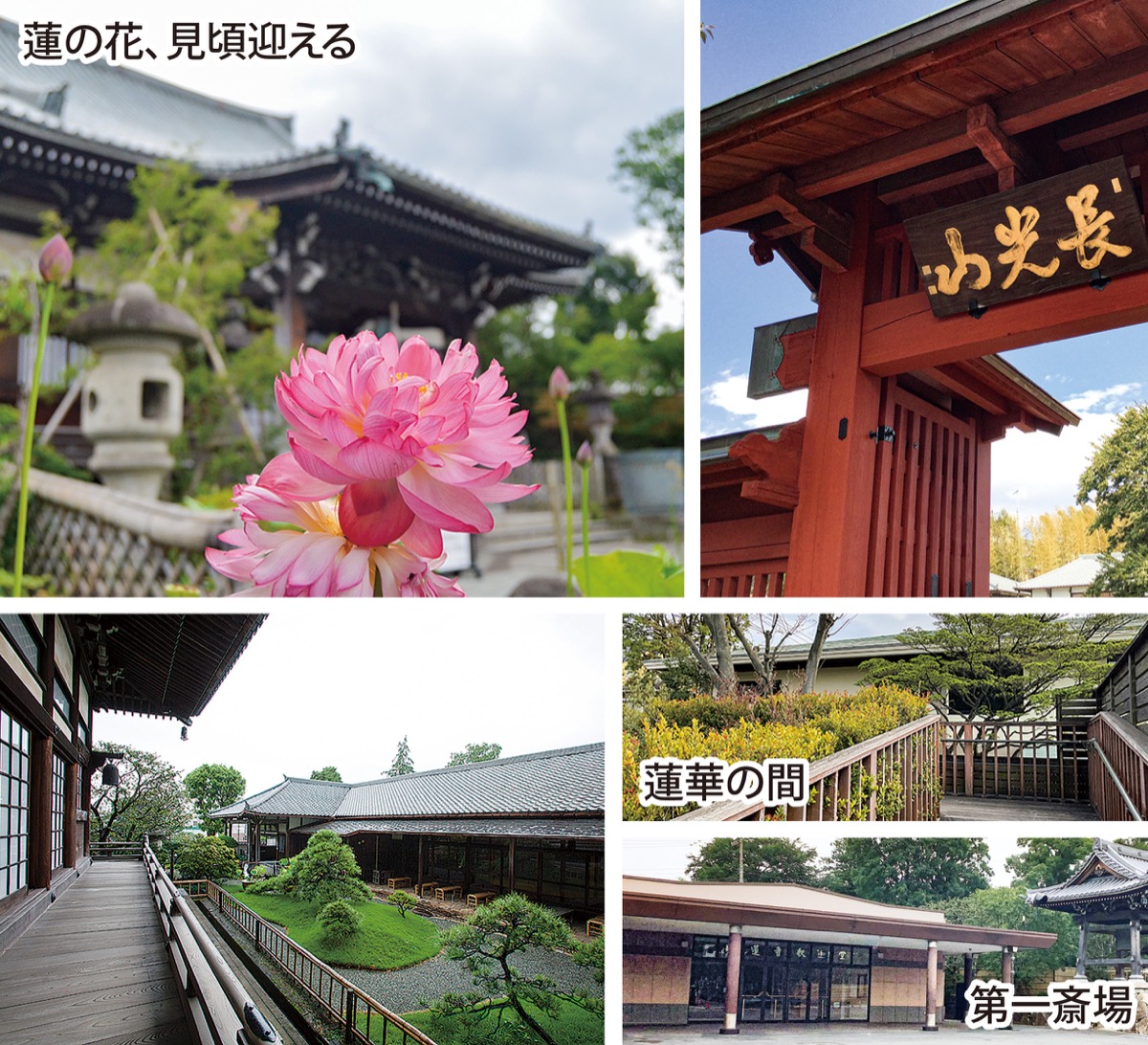 心安らぐ「駅前の名刹」 (写真1)