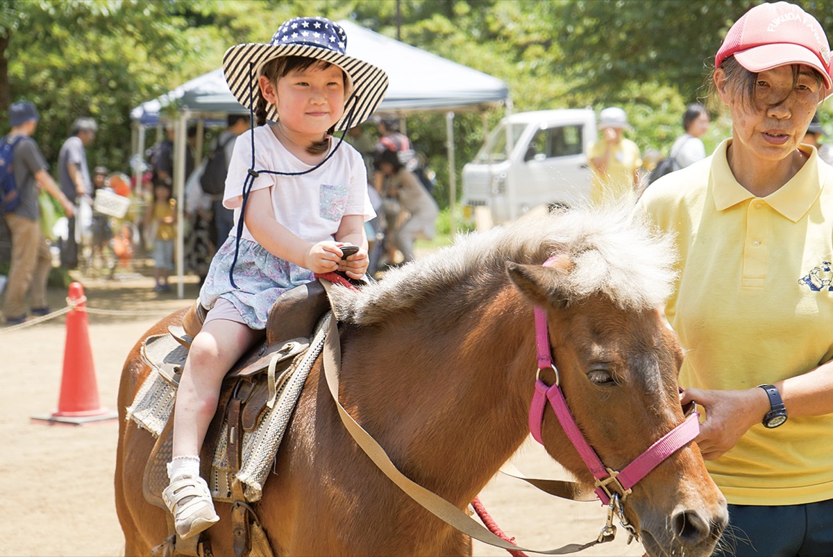 綱島公園で移動動物園