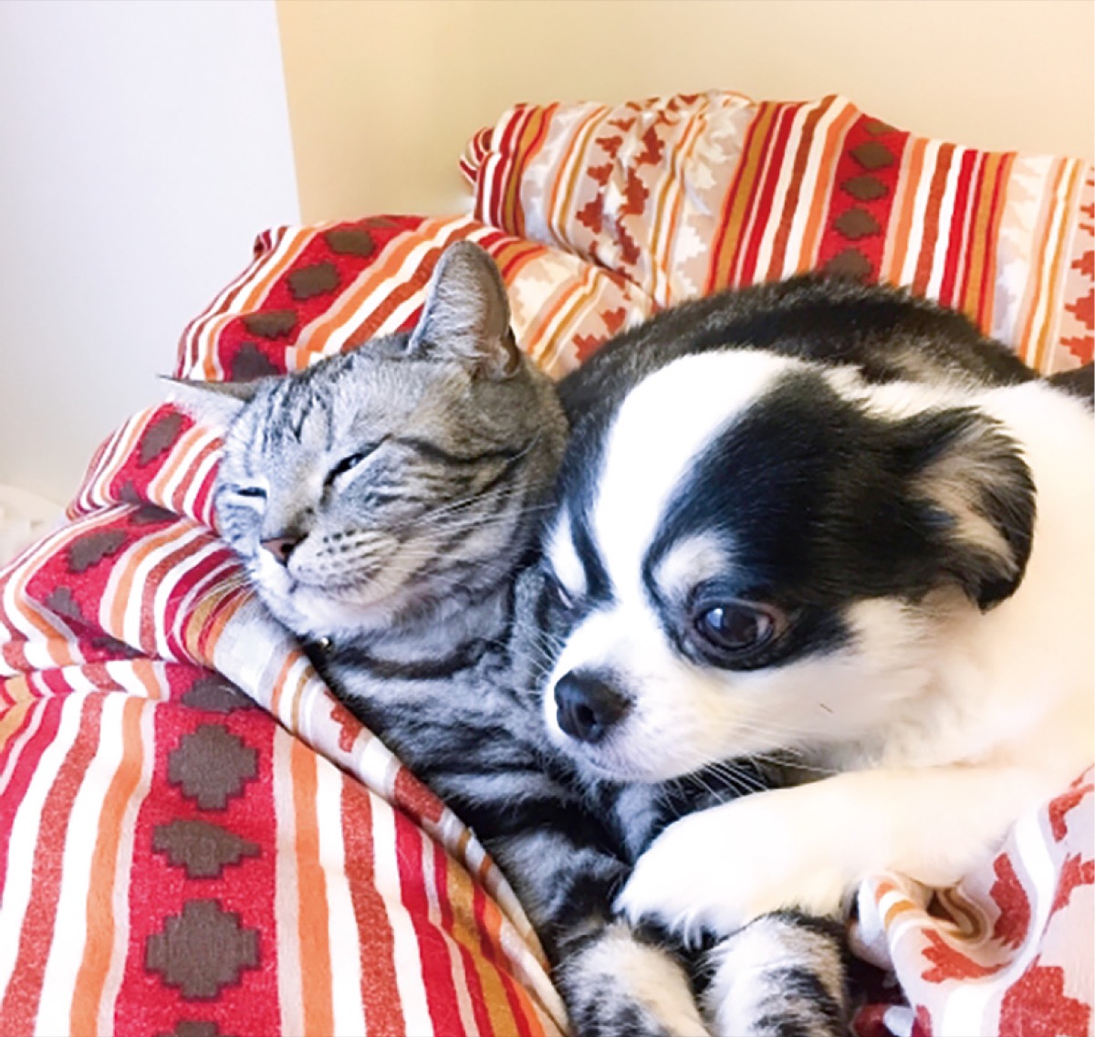 ペットのお墓セミナーと法話会