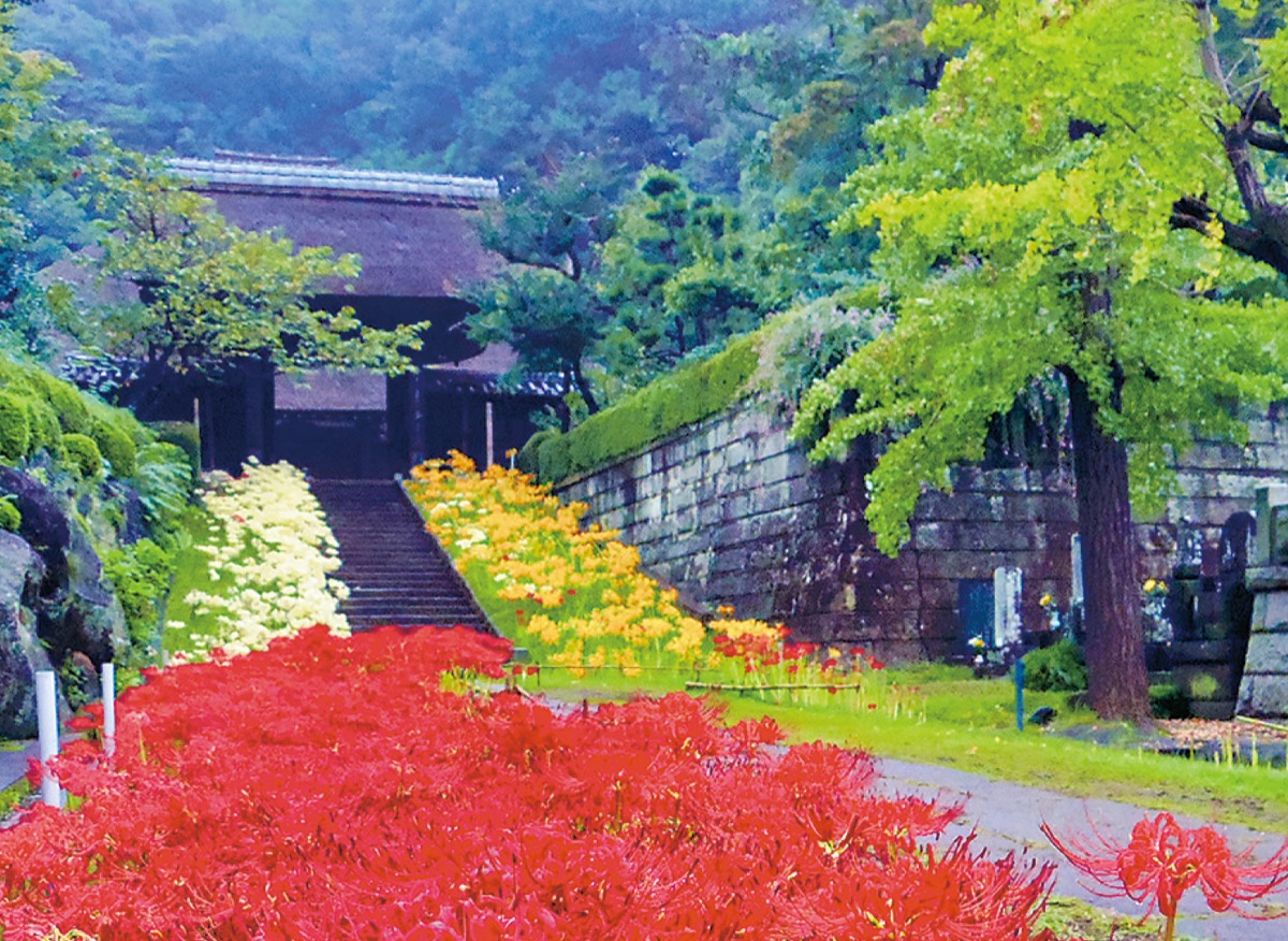 三色の彼岸花で知られる西方寺