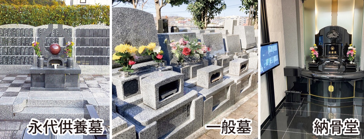 はじめてのお墓選びをアドバイス