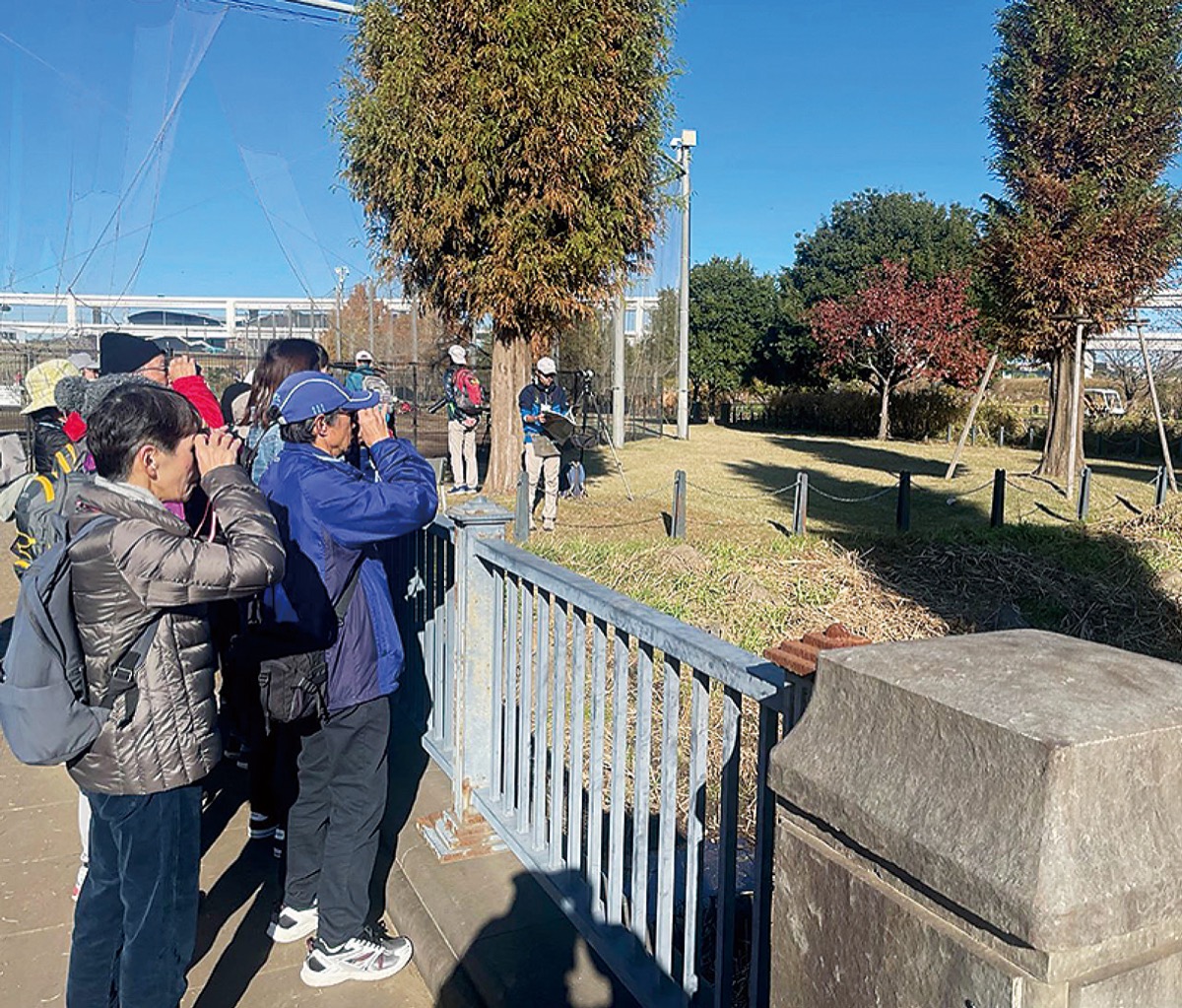 大人の野鳥観察会