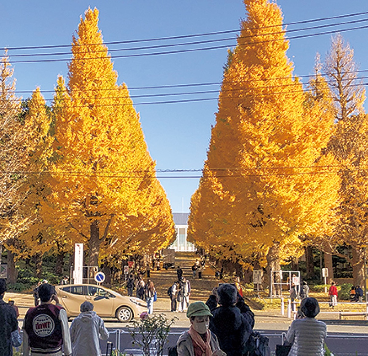 あっとほーむデスク