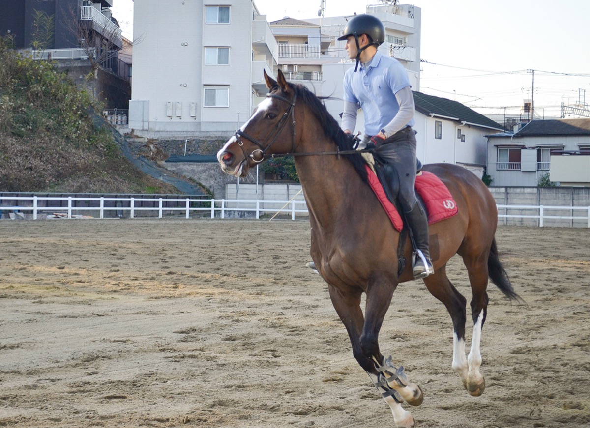 慶應義塾體育會（たいいくかい）馬術部 (写真2)