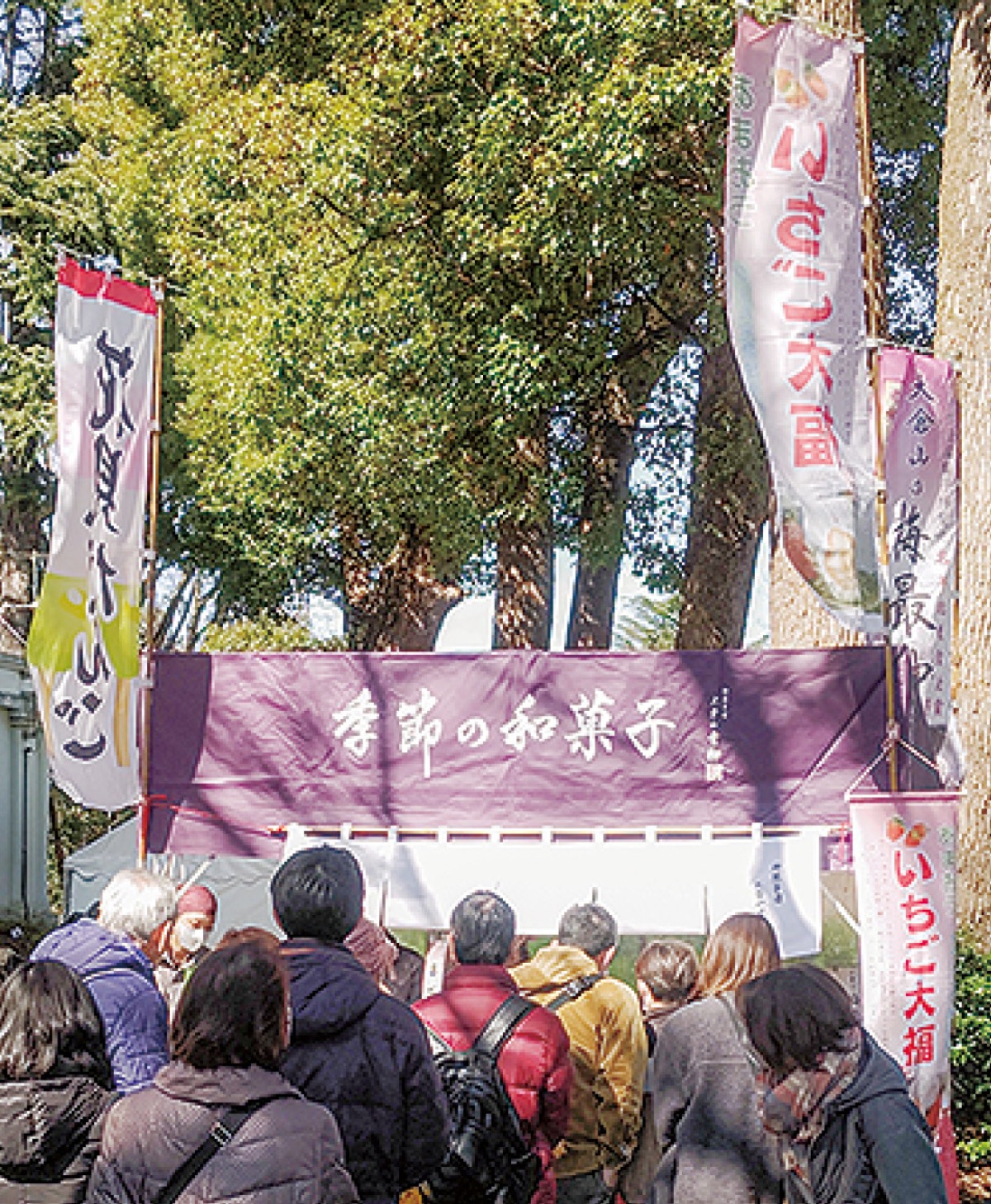 毎年賑わう大倉山青柳特設ブース