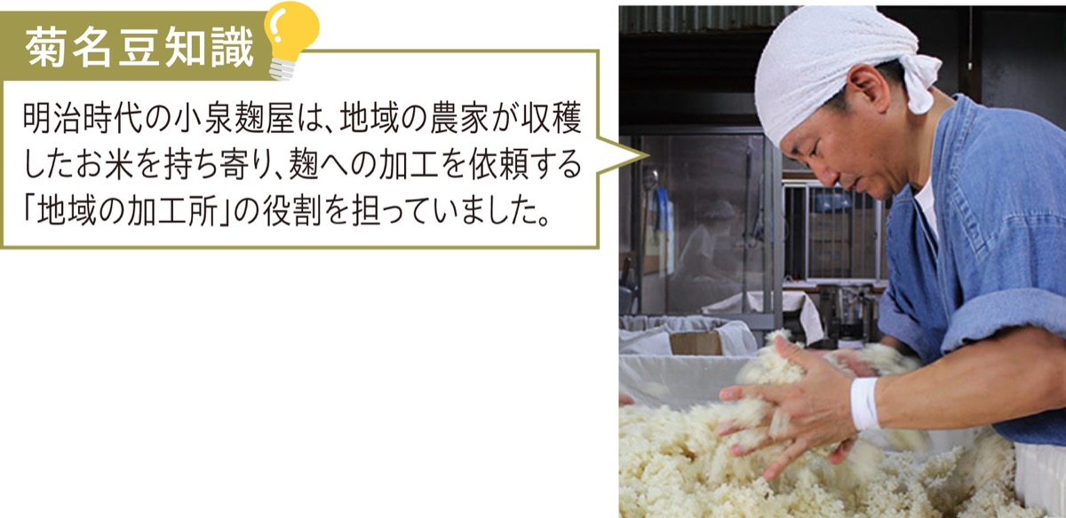 菊名で紡ぐ、明治時代からの伝統 (写真2)