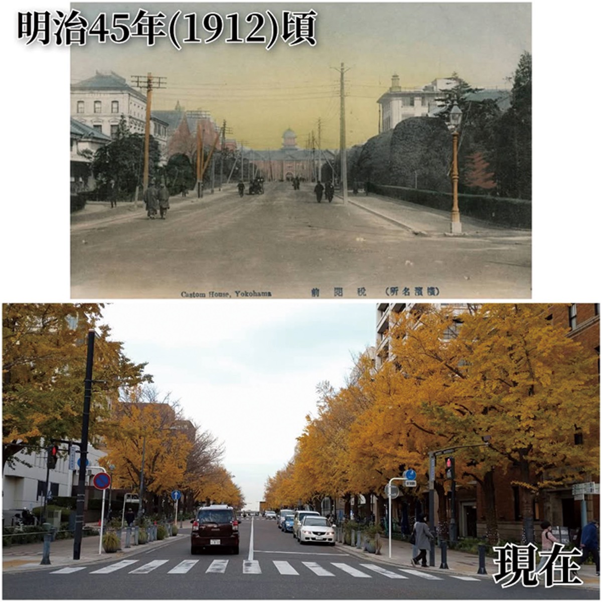 日本大通りの同じ場所とアングルで撮影された２枚の写真を比較した「横濱今昔写真」。（「横濱今昔写真」のInstagramより）