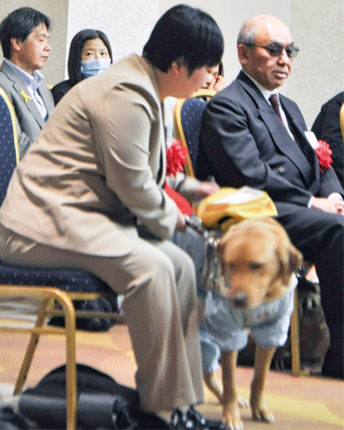 ユーザーに寄り添う盲導犬のマイティ