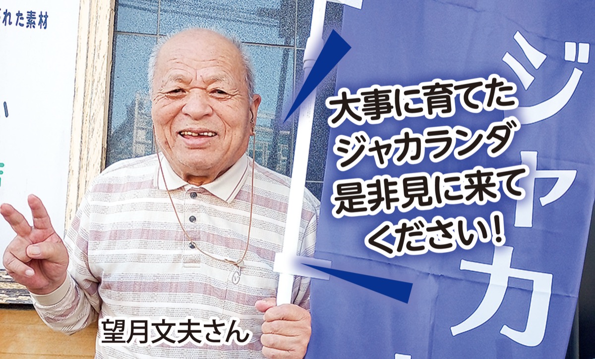 北新横浜でジャカランダまつり (写真2)