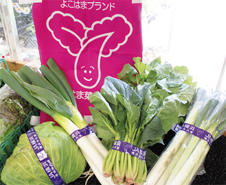 「はま菜ちゃん」のロゴをつけて販売されている横浜産野菜（ＪＡ横浜直売所）