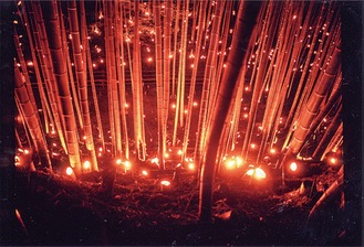 竹灯籠で「幽玄の世界」へ