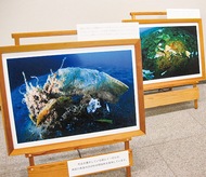 ｢海洋プラ｣テーマに写真展