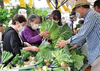 横浜市内産の野菜が人気