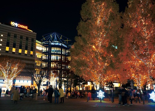 冬の風物詩（写真は過去の様子）