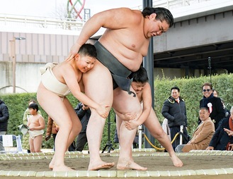 伊勢ヶ濱部屋の力士と相撲を取る子どもたち