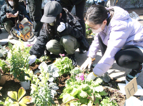 花植えをする参加者