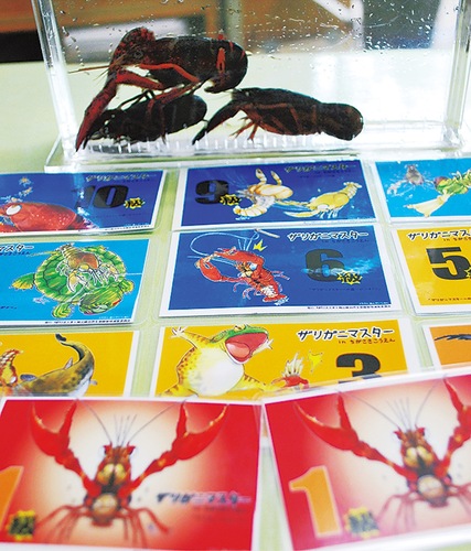 引き取り数に応じて進呈されるカード