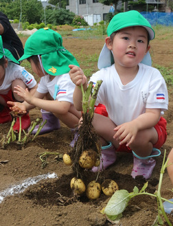 じゃがいもも笑顔も大豊作