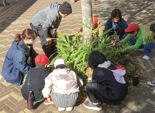 植え替えを行う児童ら＝提供写真